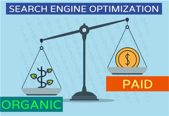 Organic SEO (Search Engine Optimization) at affordable prices in USA and India